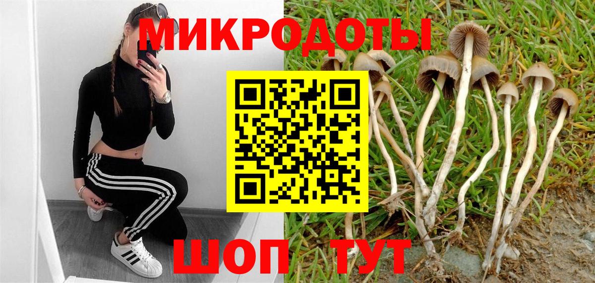 Псилоцибиновые грибы мухоморы Майский
